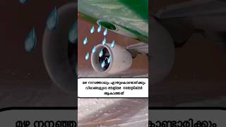 മഴ നനഞ്ഞാലും എന്താരിക്കും വിമാങ്ങളുടെ engine complaint ആകാത്തത് aviation4u jetengine rain [upl. by Ohcamac516]