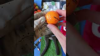 Cutting a Spooky Golf Ball in Half  Halloween Top Flite XL Distance shorts [upl. by Yrhcaz342]