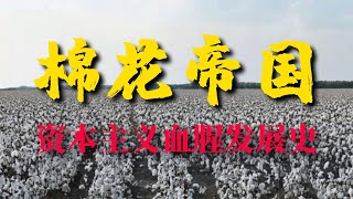 《棉花帝国》：看懂资本主义血腥发展史，从奴隶制到全球化的演变【锦灰视读79】 [upl. by Otrevire]