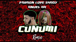 Cunumi Remix  Faraón Love Shady Ft Anuel AA Letra [upl. by Intyre183]