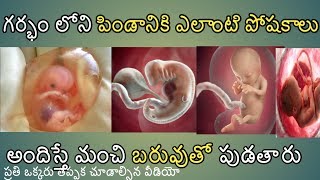 How to identify pregnancy baby nutrition telugu nutrition guide 2019 [upl. by Beane]