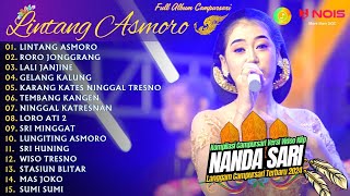 NANDA SARI LINTANG ASMORO  KOMPILASI VIDEO LANGGAM CAMPURSARI KOPLO  FULL ALBUM TERBARU 2024 [upl. by Emmott]