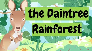 Facts about the Daintree rainforest for kids [upl. by Suivatal463]