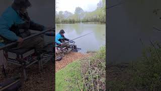 Pole Fishing at Match Fishing April 2024 freshwaterfishing [upl. by Myrvyn]