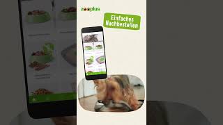 Herzlich willkommen bei der zooplus App [upl. by Mazurek664]