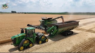 Wheat Harvest 2024 at Crossroad Farms in Indiana [upl. by Center726]