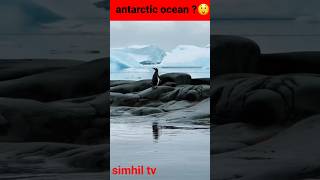 Antarctic Ocean  Mystery 🤔antarcticafacts antarctica antarctic facts [upl. by Kostman]