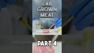 Lab Grown Meat part 4 shorts [upl. by Yenwat845]