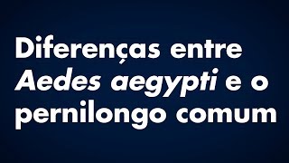 Diferenças entre Aaegypti e o pernilongo comum [upl. by Ande]