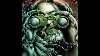 Jethro Tull  Stormwatch  North Sea Oil [upl. by Enillebyam]