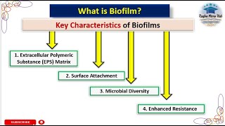 Biofilm in microbiology  key characteristics of biofilm  biofilm formation microbiology biofilm [upl. by Lohman141]