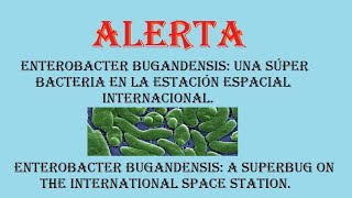 Enterobacter bugandensis una súper bacteria en la Estación Espacial InternacionalA super bacteria [upl. by Leahcir]