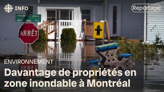 Le nombre de propriétés en zone inondable appelé à augmenter dans le Grand Montréal [upl. by Laud]