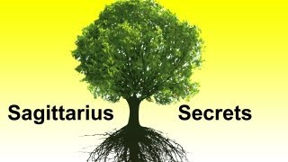 Mula Nakshatra Vedic Astrology Sagittarius Horoscope Secrets Ep 18 [upl. by Robb]