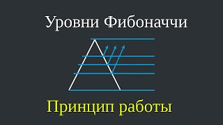 Как Пользоваться Уровнями Фибоначчи  Как правильно строить  Криптовалюта Трейдинг [upl. by Zennie]