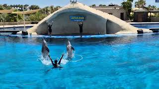 Aqualand Dolphin Show Tenerife [upl. by Harriette277]