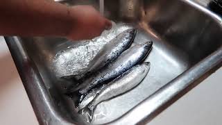 CATCH AND COOK Kokanee [upl. by Griselda904]