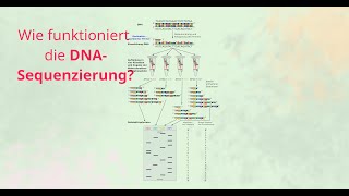 DNASequenzierung nach Sanger Abbruchnukleotide amp Aufbau der Nukleotide DNARNA [upl. by Vine]