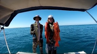 Spearfishing Western Australia Submerged with a Breath [upl. by Aala]