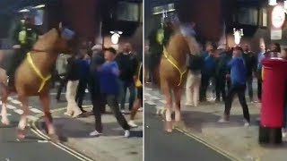 Football fan throws punch at police horse [upl. by Wells796]