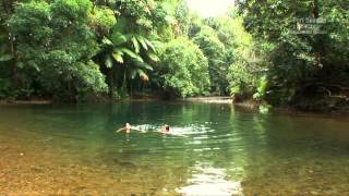 Port Douglas amp Daintree Australia  Tropical lifestyle [upl. by Yevre350]