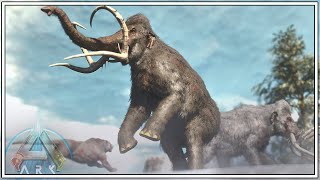 THESE MAMMOTHS ARE A LOT STRONGER THAN YOU REMEMBER  ARK SURVIVAL ASCENDED EPISODE 9 [upl. by Ednarb496]