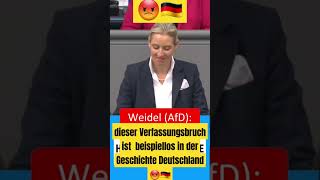 💔dieser Verfassungsbruch ist beispiellos in der Geschichte Deutschland 😡🇩🇪 afd shorts [upl. by Ojillib]