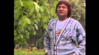 Saban Saulic  Voleo sam samo tebe  Official Video 1989 [upl. by Adnolor]