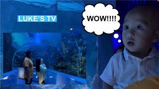 LUKE’S TV  PASYAL TAYO SA SHARJAH AQUARIUM  Aileen Sumera Bondoc [upl. by Eibrad]