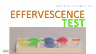 Effervescence Test  Monthly Science Box Experiments for Kids [upl. by Olinad725]