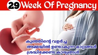 Pregnancy Week by Week Malayalam  29 Weeks Pregnancy Malayalam [upl. by Anuahsat]