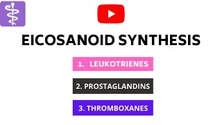 Eicosonoids Synthesis  Leukotrienes Prostaglandins and Thromboxanes [upl. by Brenda]