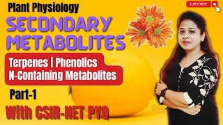 Secondary Metabolites 1  Secondary Metabolites in Plants  Plant Secondary Metabolites CSIR NET [upl. by Dnomad372]