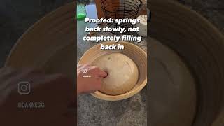 Proofing Sourdough The Poke Test [upl. by Katheryn]