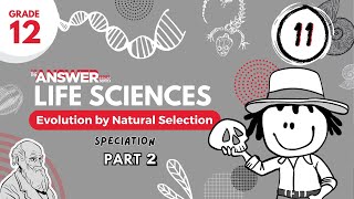 GR 12 EVOLUTION BY NATURAL SELECTION – Speciation PART 2 11 [upl. by Lecrad]