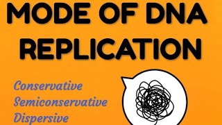 Mode of DNA replication Conservative  Semiconservative  Dispersive  DNA replication process [upl. by Carley]