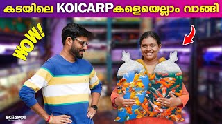 മാസങ്ങള്‍ക്കു ശേഷം KOI PONDലേക്ക് വെറൈറ്റി KOI CARPകളെ വാങ്ങി  UNBOXING MY NEW PET KOI FISH [upl. by Lowry]