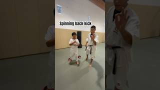 Spinning back kick tips send to your friend 👊🏽🥋shorts karate martialarts [upl. by Haneekas]