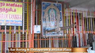 Palani Temple  Ear Boring amp Thulaparam Kanikkai Place [upl. by Nitsoj]