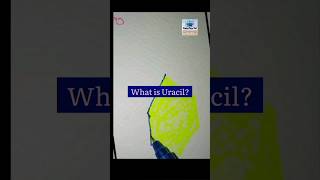 what is Uracil shorts rna genetics microbiologyviral [upl. by Akcirderf]