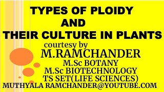 Types of PLOIDY and THEIR CULTURE IN PLANTS [upl. by Gorrono]