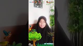 video testimoni bebras guru paud [upl. by Vallery]