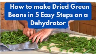 How to make Dried Green Beans in 5 Easy Steps on a Dehydrator [upl. by Gaves912]