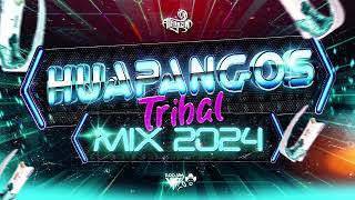 Huapangos Tribal Mix 2024  Lo Más Nuevo  Dj Alfonzin [upl. by Annahahs470]