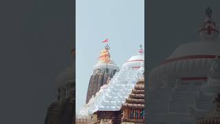 Asithili kalia to Darsana pani re🙏jagannathvajanajagannathtempletrending viralshort [upl. by Torrell406]