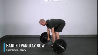 Banded Pendlay Row  OPEX Exercise Library [upl. by Waneta]