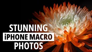 Secrets to Stunning iPhone Macro Photos [upl. by Auehsoj227]