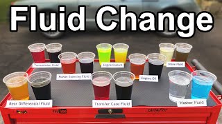 How to Change EVERY FLUID in your Car or Truck Oil Transmission Coolant Brake and More [upl. by Adnohsed]