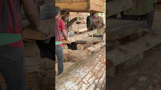 Mastering Precision Cutting and Wood Processing Insights from Expert Sawmill Operators wood [upl. by Dolly]