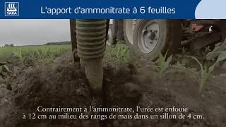 La fertilisation du maïs  lapport d’ammonitrate audelà de 6 feuilles [upl. by Mudenihc]